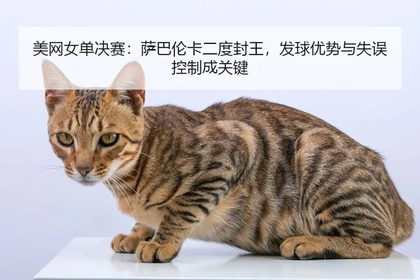 美网女单决赛：萨巴伦卡二度封王，发球优势与失误控制成关键