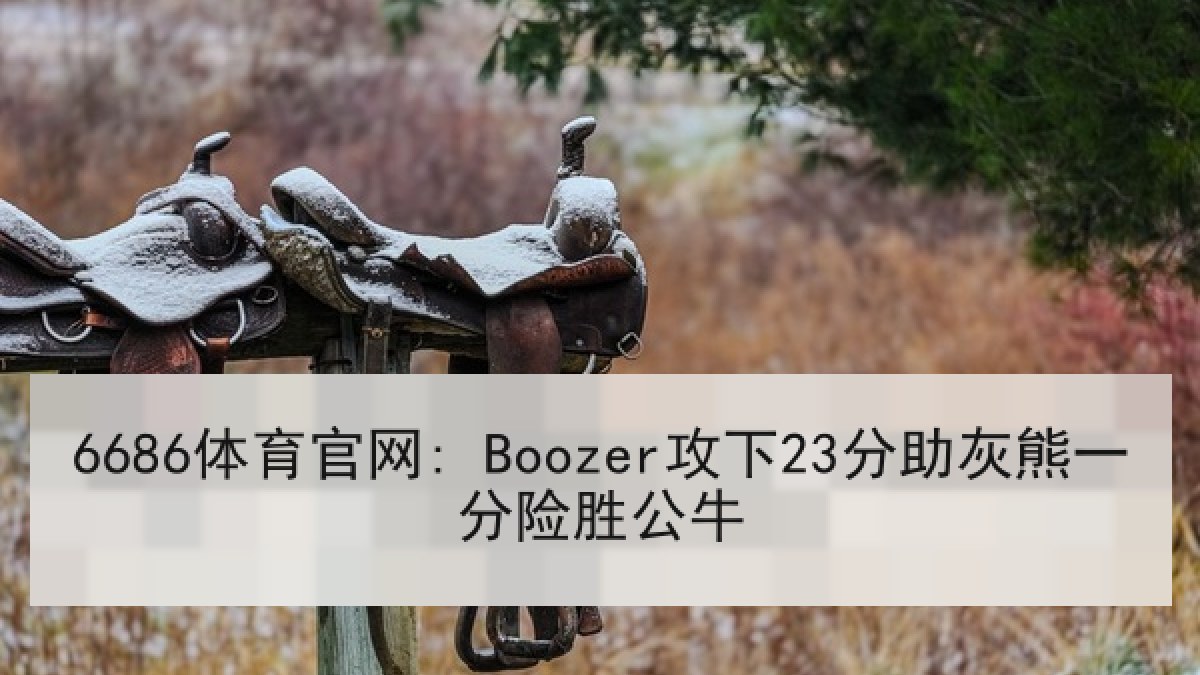 6686体育官网: Boozer攻下23分助灰熊一分险胜公牛 6686体育官网: Boozer攻下23分助灰熊一分险胜公牛