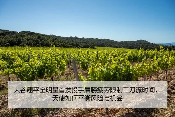大谷翔平全明星首发投手肩膀疲劳限制二刀流时间，天使如何平衡风险与机会